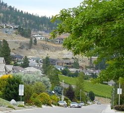 Vineyards & housing in West Kelowna.JPG